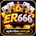 ER666 Game