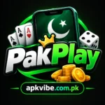 PakPlay Game